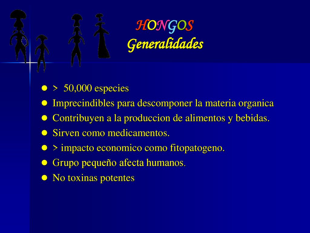 candida albicans hongo dimorfico candida albicans hongo dimorfico
